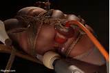 Hogtied Predator Games A HogTied BDSM Fantasy Feature Movie