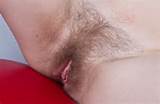 Just Hairy Pussy