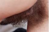 Database Of Hairy Pussies Multiple Daily Updates Of Hairy Bushes