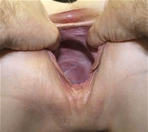 Gaping Holes Ultimate Open Gaping Pussy And Asshole Collection