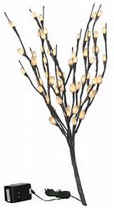 Pussy Willow Twig Lights