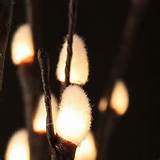 Pussy Willow Flower Lights Let There Be Light Pinterest