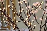 The Light Garden Pussy Willow Branch 60 Bulbs Buy It Now