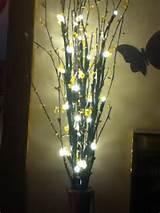 Pussy Willow Lights Stuff Brings Smiles Pinterest