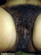World Hairiest Pussy Click Here See Fresh Natural Full Hairy