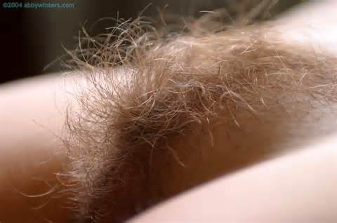 Abby Winters Georgina Listed In Hairy Pussy Past Update