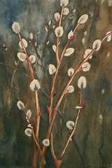 Pussy Willow 2 22 X 15