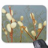 Pussy Willow Fantasy Plant Mousepad Zazzle