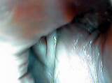 Camera In Pussy Camera In Cunt Camera In Dildo View Into Pussy Inside