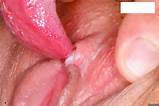 Lick Piercing Pussy Oral Hi Res Oral Pussy Lick Clit
