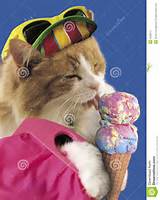 Pussy Cat With Ice Cream Stock Photography Image 5263612