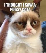 THOUGHT I SAW A PUSSY CAT Grumpy Cat Troll Meme Generator