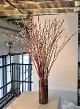 Pussy Willows Centerpieces Pinterest