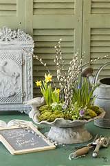 Think Spring With Pussy Willow Arrangements New England Home