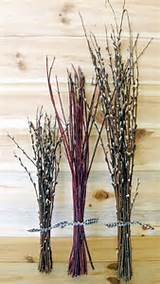 Natural Pussy Willow And Red Willow Bouquets Decorate Country Style