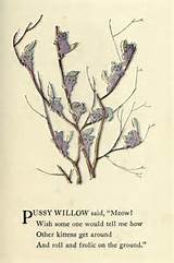 Pussy Willow Paintings Pussy Willow Pussywillows Pinterest