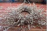 Pussy Willow Wreath Lllllllllllllllllll Pinterest