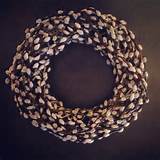 Pussy Willow Wreath DIY Pinterest