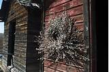 Pussy Willow Wreath Country Livin Pinterest