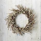 Pussy Willow Wreath Williams Sonoma