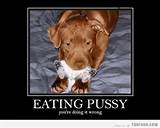 Eating Pussy Funny Images Pictures Photos Pics Videos And Jokes