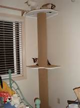 How To Build Your Own Cat Tree Cat Pole Cat Treats Pinterest