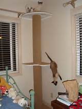 Thread How To Build Your Own Cat Tree Cat Pole