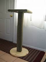 How To Build A Customized Cat Scratch Pole With Platform