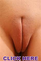 Spy Camel Toe Lickable Camel Toes