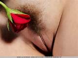 29th 2014 In Big Tits Brunette Teen Model Indiana A Met Art
