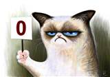 Grumpy Cat PicturesHD Wallpapers