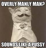 Overly Manly Man Sounds Like A Pussy Original Business Cat