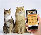 CAT Sounds Android Apps On Google Play