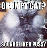 Grumpy Cat Sounds Like A Pussy Grumpy Cat Sounds Like A Pussy Misc