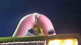 Miley Cyrus Wardrobe Malfunction On Bangers Tour The Porn Clerk