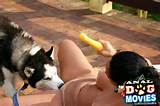 Dog Movies Preview Nasty Teen Girl Tight Asshole Fucked Hard By Dog