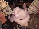 Weed Money Wallpaper Pussy Money Weed