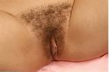 Miff Hairy Pussy Wallpaper Nerdy Hairy Pussy ATK Natural Hairy
