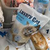 Luxury Cat Cat Litter Iceland 2013