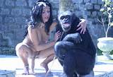 Zoo Siesta Sex With Monkeys Donkey Porn Elephant Sucking Tiger