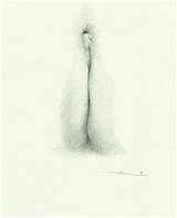 New Pencil Drawing Pussy 40 Lee Erotic Com