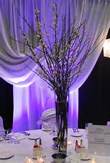 Pussy Willow Branch Centerpiece When I Get Married Pinterest