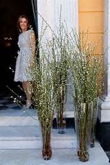 Pussy Willows PussyWillows Pinterest