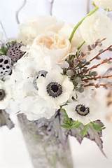Pussy Willows Flowers Pinterest