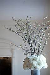 Pussy Willows Wedding Ideas Pinterest