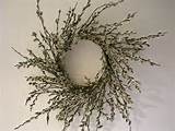 Pussy Willow Wreaths Door Decorations Pinterest