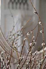 And Whatnot Pinterest Pussy Willow Winter And Winter Weddings