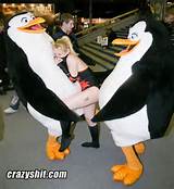 Huggable Lovable Penguins Crazyshit Com