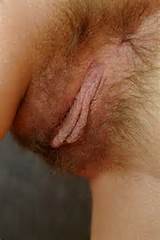 There It Is What A Tasty Hairy Asshole And Pussy Let Me Lick You And