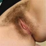 Nice Hairy Pussy The Good The Sexy The Beautiful